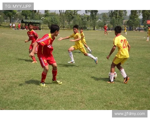 法国青训体系持续产出人才，竞争力增强